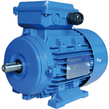 AEEH-ALB3-Induction-Electric-Motor